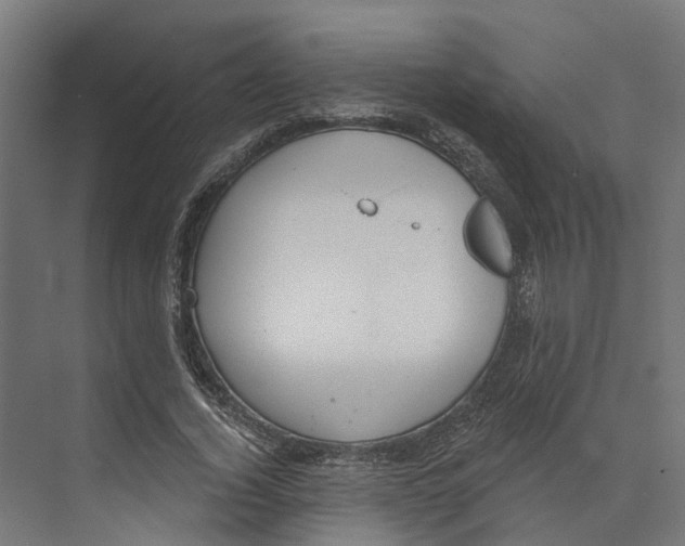 X0000073870732200609071658