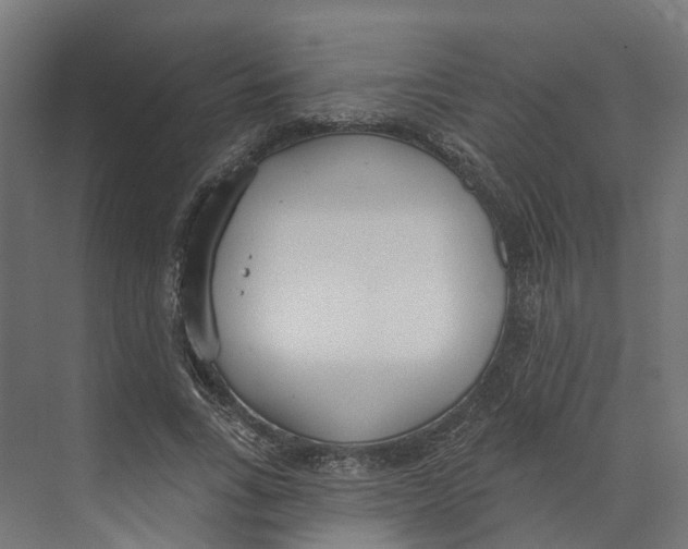 X0000073870735200609071658