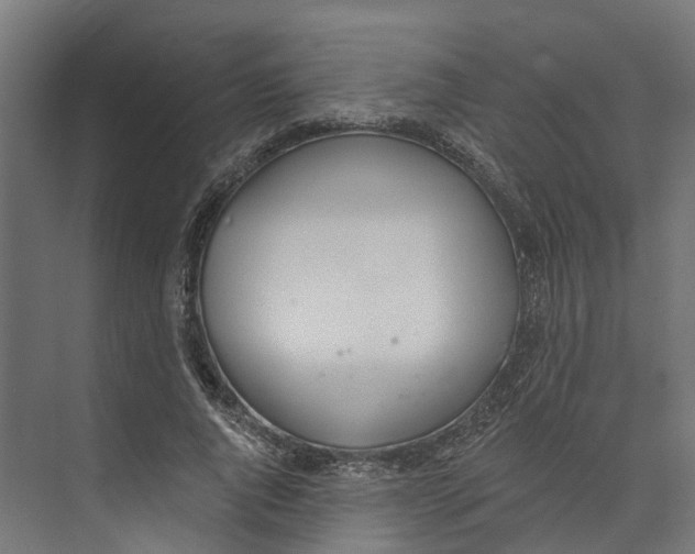 X0000073870736200609071658