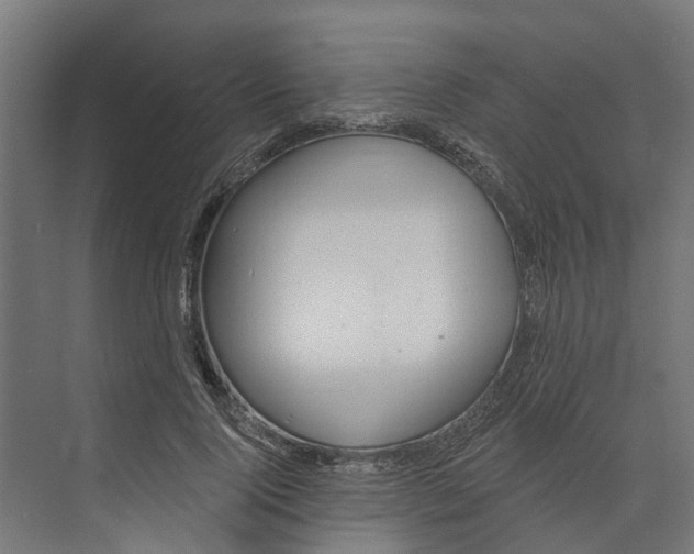 X0000073870740200609071658