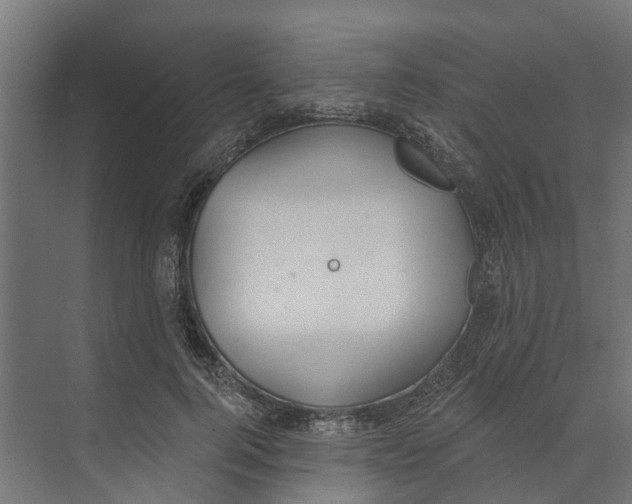 X0000073870744200609071658