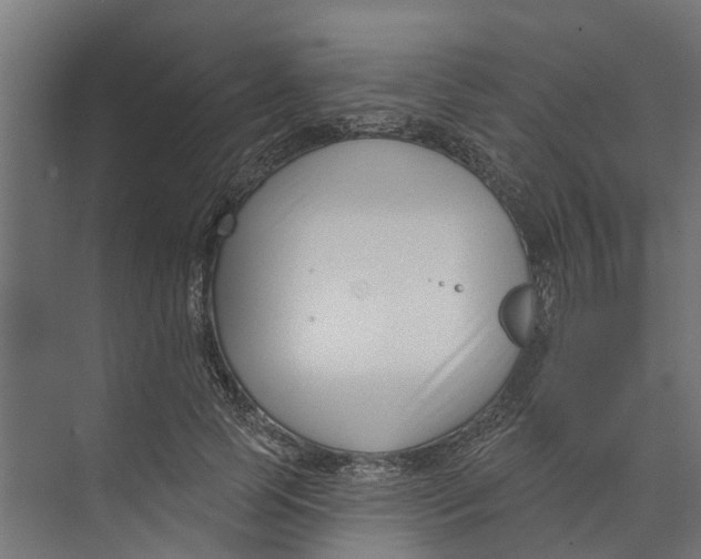 X0000073870745200609071658