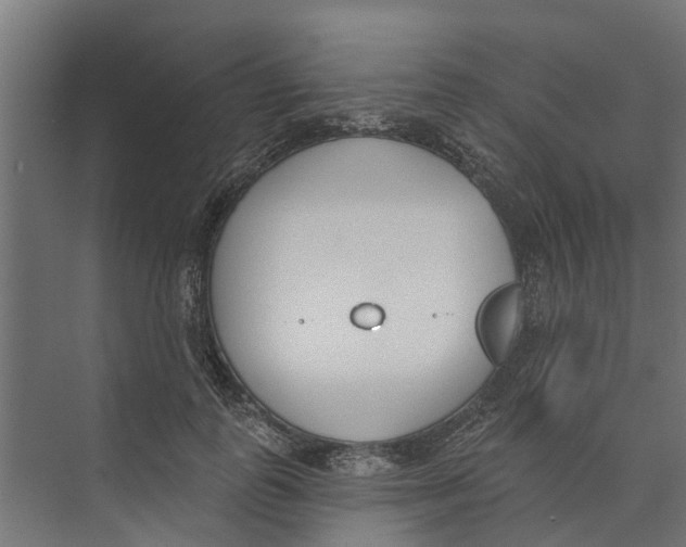 X0000073870747200609071658