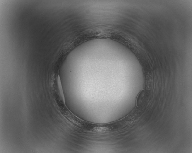 X0000073870748200609071658