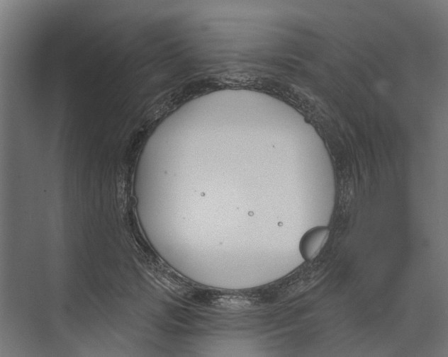 X0000073870749200609071658