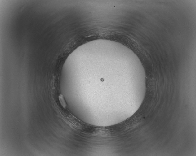 X0000073870750200609071658