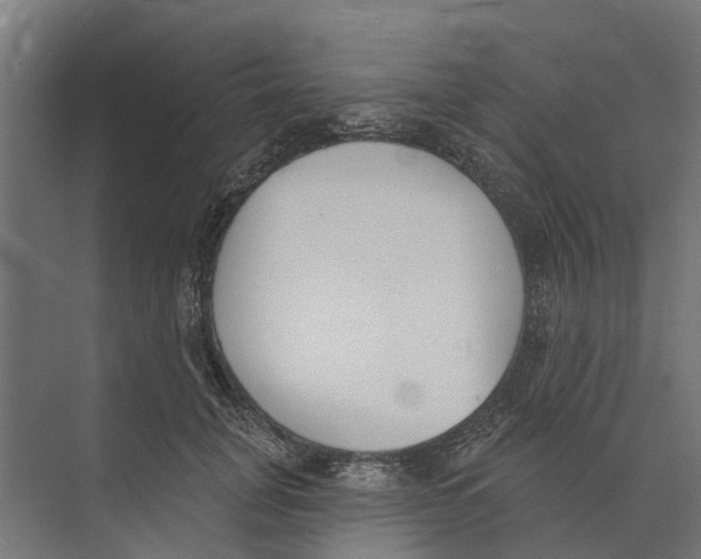 X0000073870751200609071658