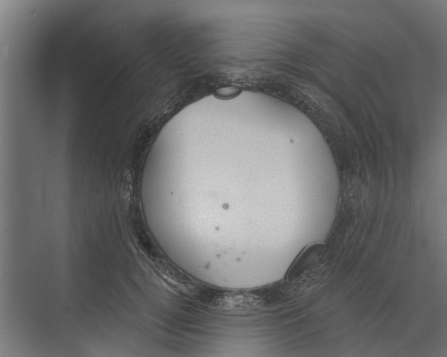 X0000073870752200609071658