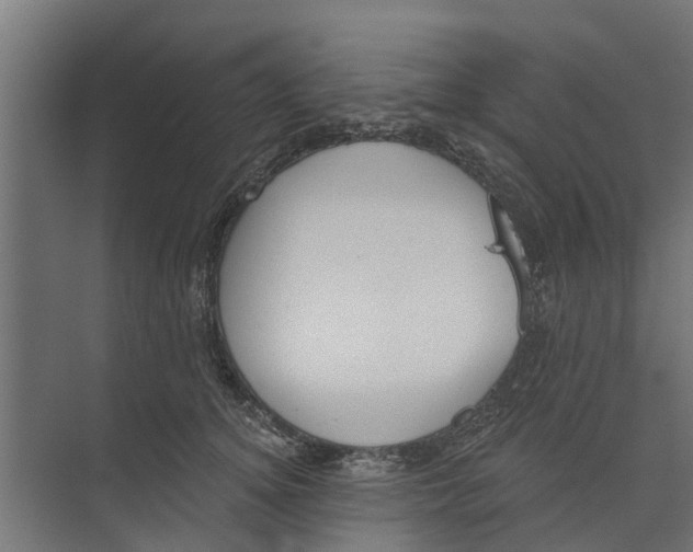 X0000073870756200609071659