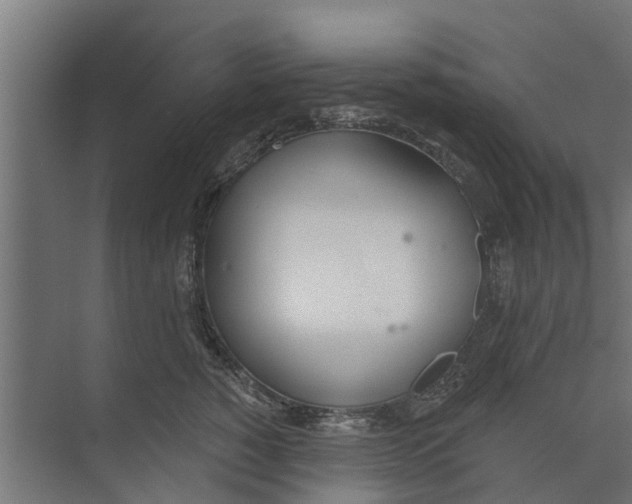 X0000073870760200609071659