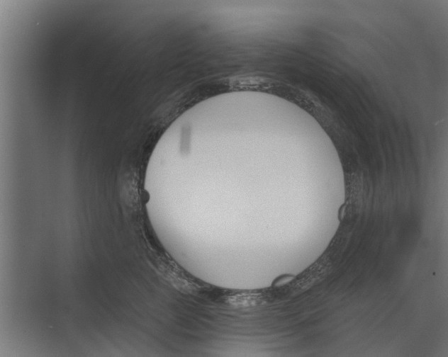 X0000073870761200609071659