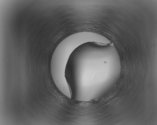 X0000073870762200609071659