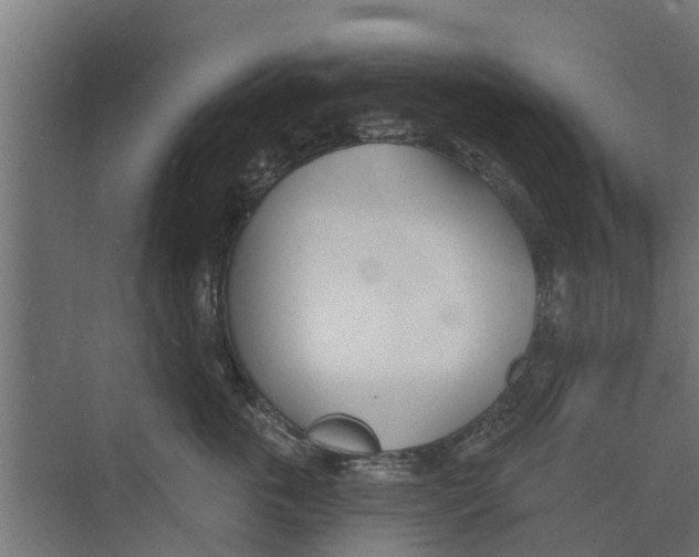 X0000073870763200609071659