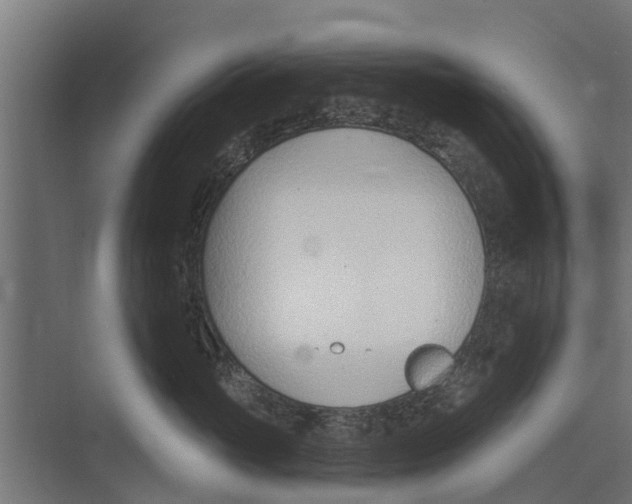 X0000073870765200609071659