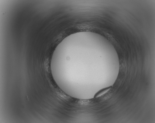 X0000073870767200609071659