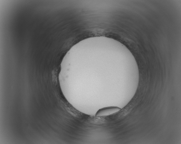 X0000073870768200609071659