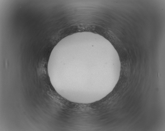 X0000073870770200609071658