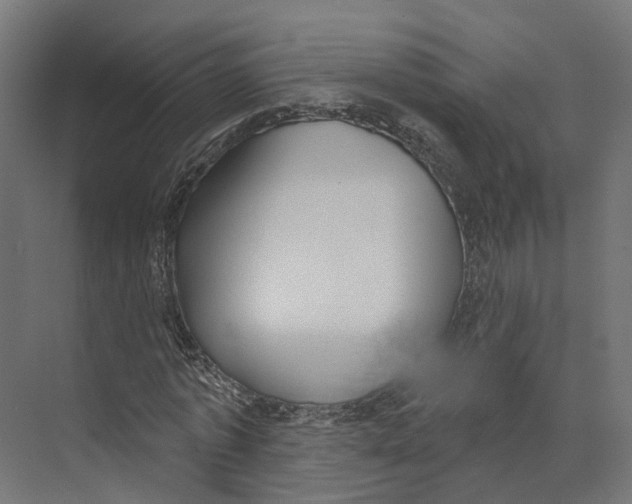 X0000073870773200609071658