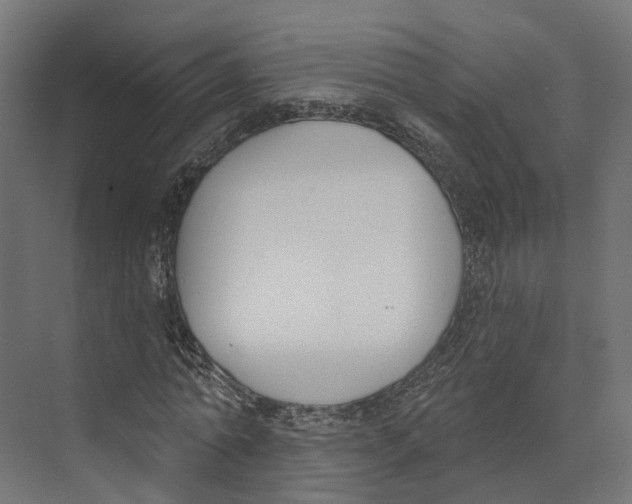 X0000073870774200609071658