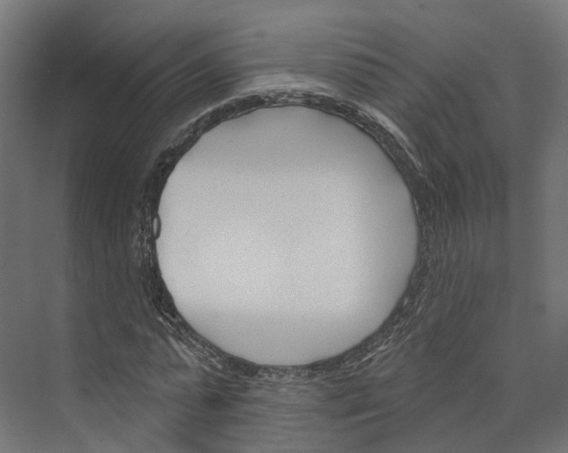 X0000073870775200609071658