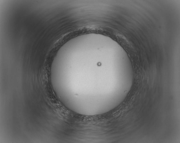 X0000073870776200609071658