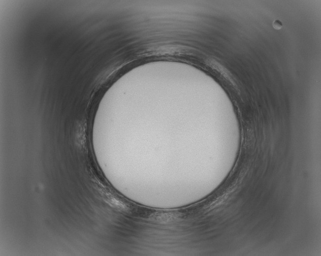 X0000073870778200609071658