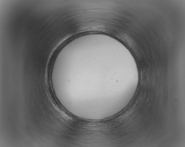 X0000073870780200609071658