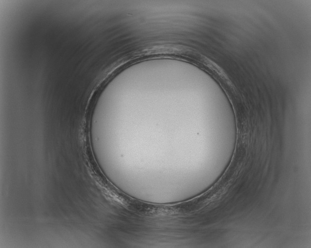 X0000073870786200609071658