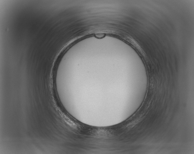 X0000073870787200609071658