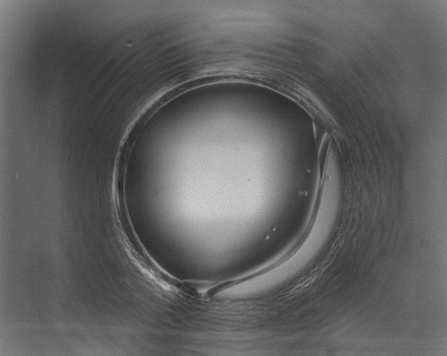 X0000073870788200609071658