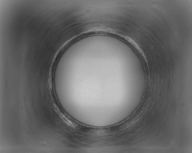 X0000073870791200609071658