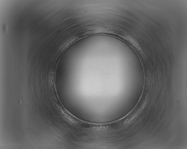 X0000073870793200609071658