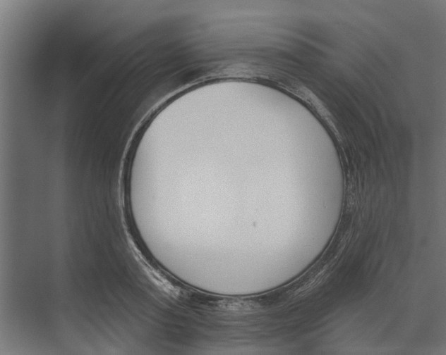 X0000073870795200609071657