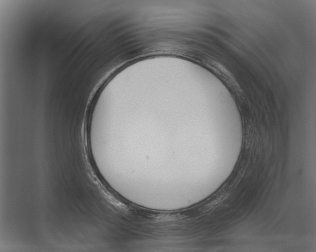 X0000073870796200609071657