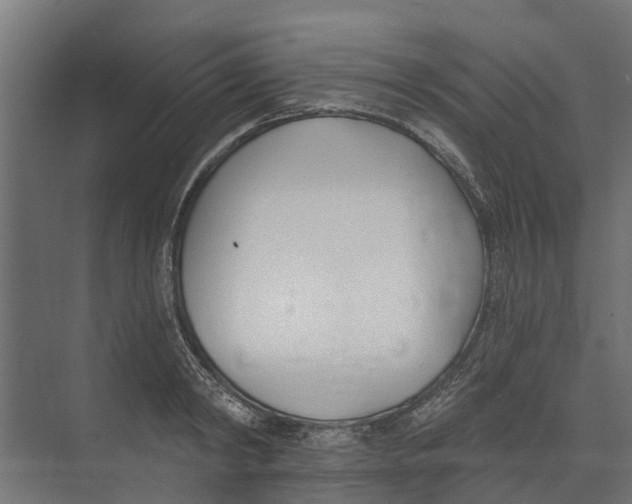 X0000073870798200609071657