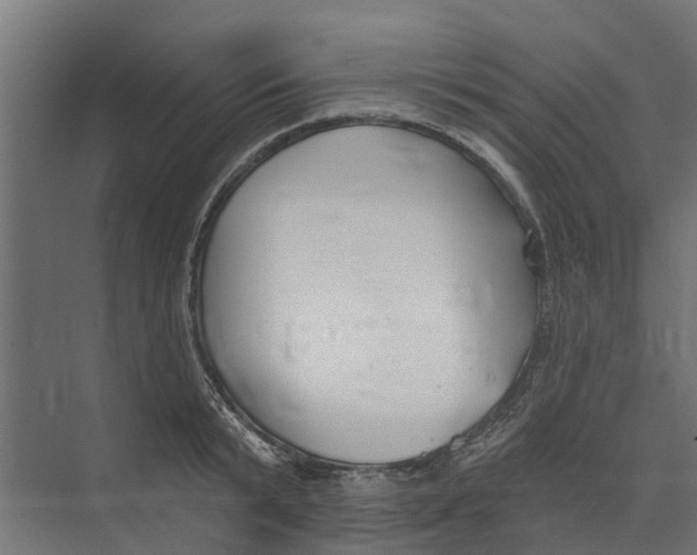 X0000073870799200609071657