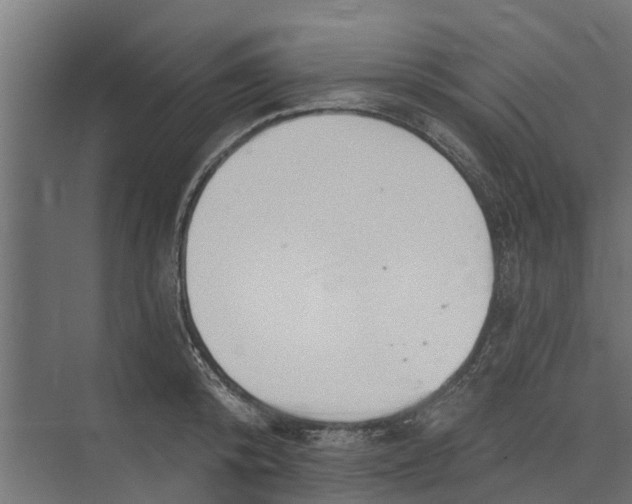 X0000073870800200609071657