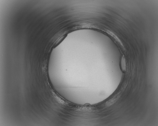 X0000073870801200609071657