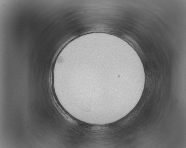 X0000073870804200609071657