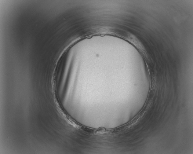 X0000073870806200609071657