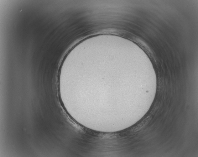 X0000073870808200609071657