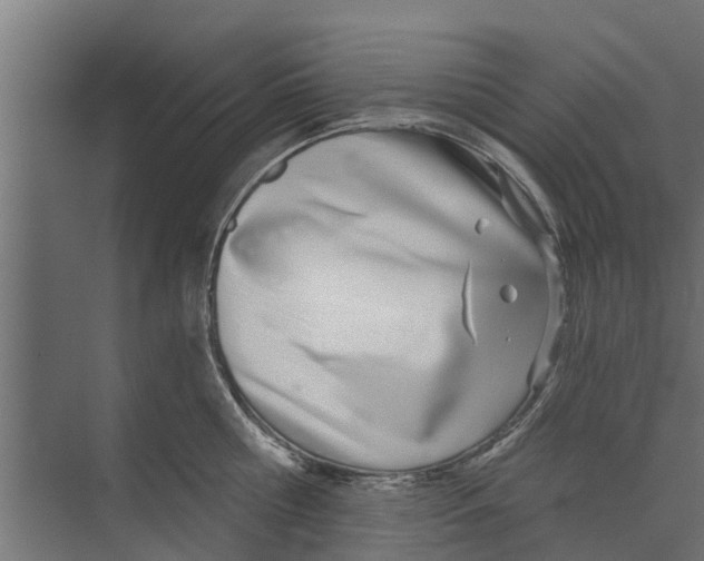 X0000073870810200609071657