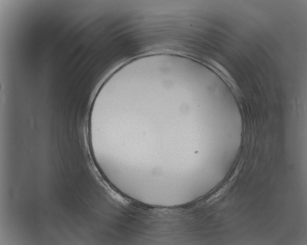 X0000073870812200609071657