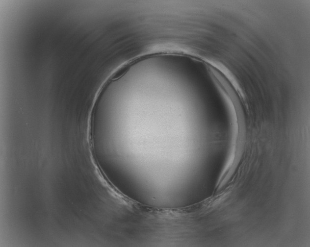 X0000073870815200609071657