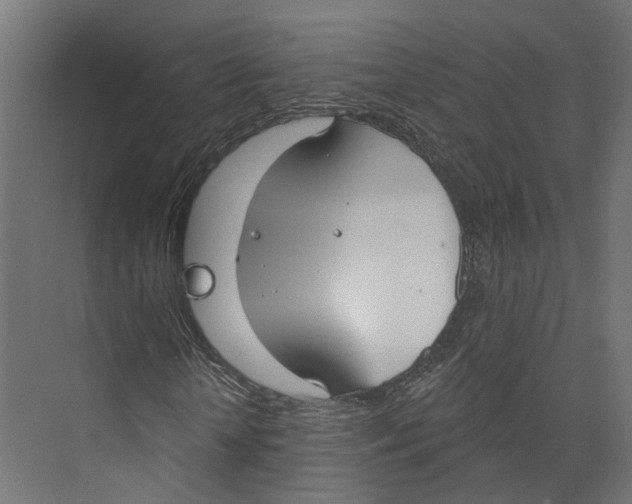 X0000073870818200609071656