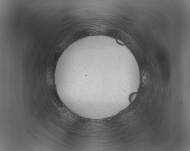 X0000073870819200609071656