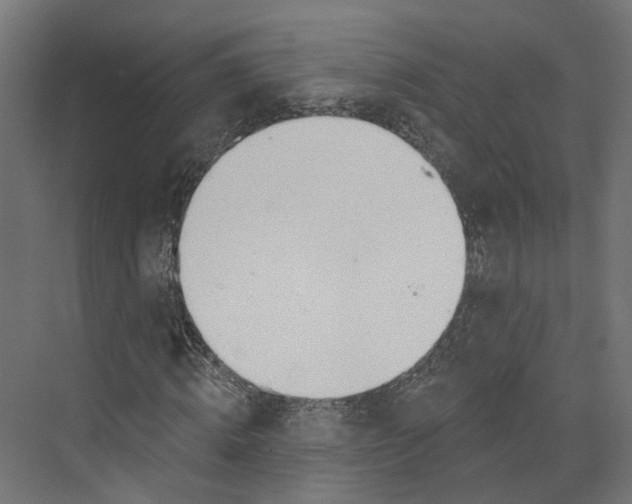 X0000073870820200609071656