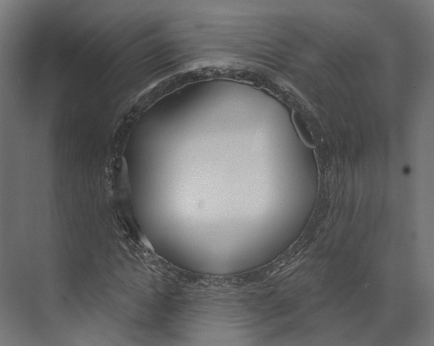 X0000073870822200609071656