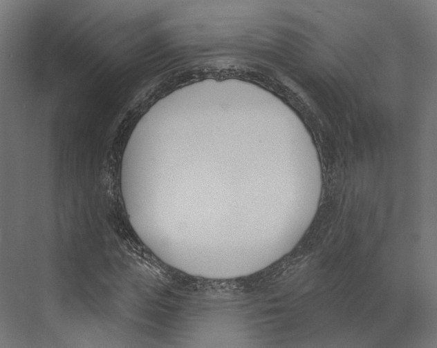 X0000073870823200609071656