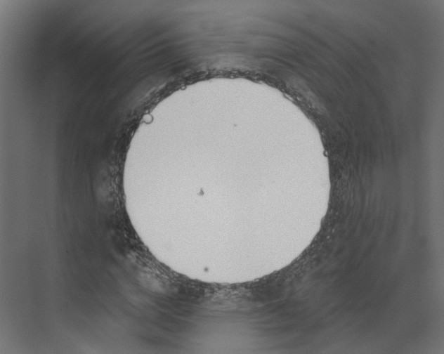 X0000073870824200609071656